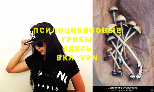 mdma Вязьма
